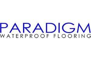 Paradigm logo 504050