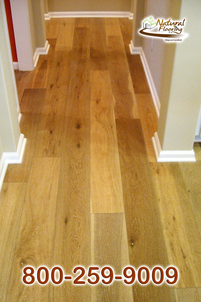 314MUL 3 Baseboard & baseshoe