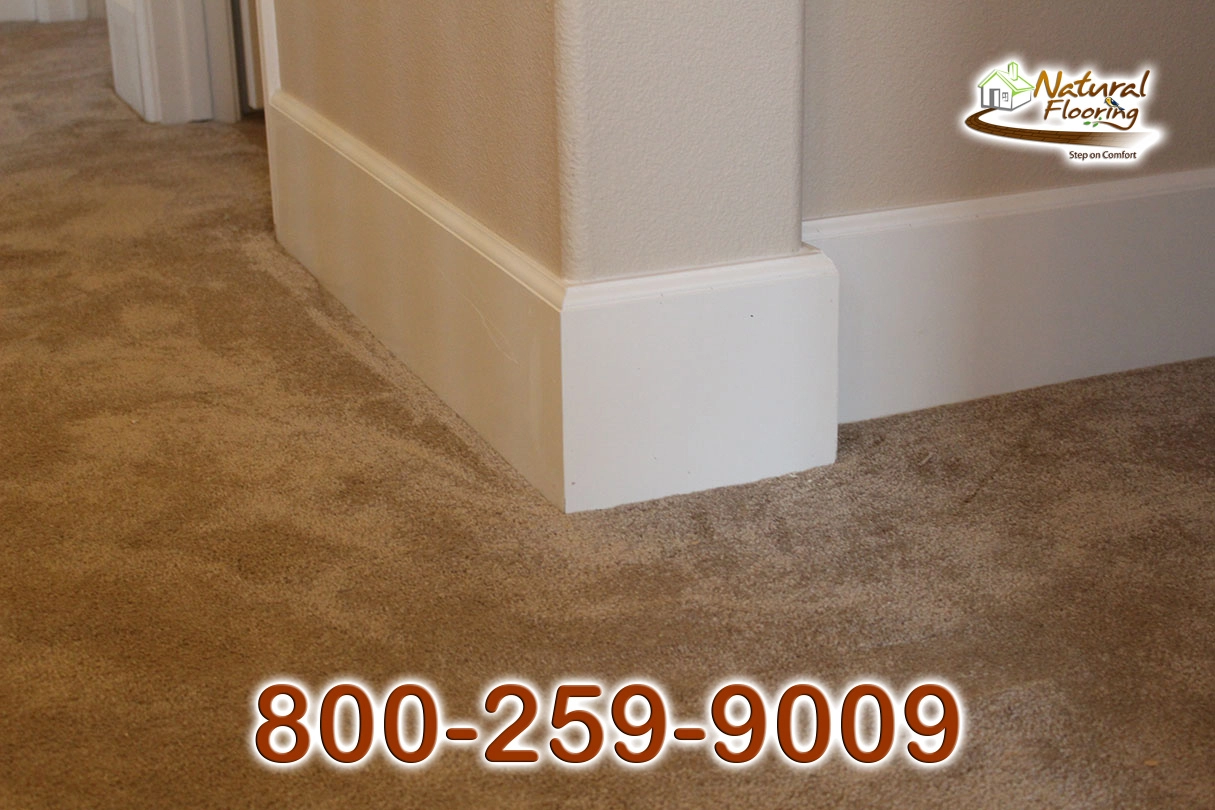314MUL 7 Coronado Baseboard
