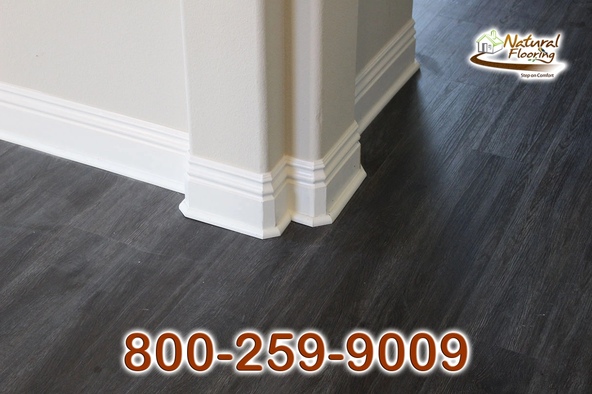 330MUL Newport Baseboard & Baseshoe