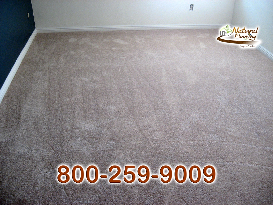 Adobe Carpet