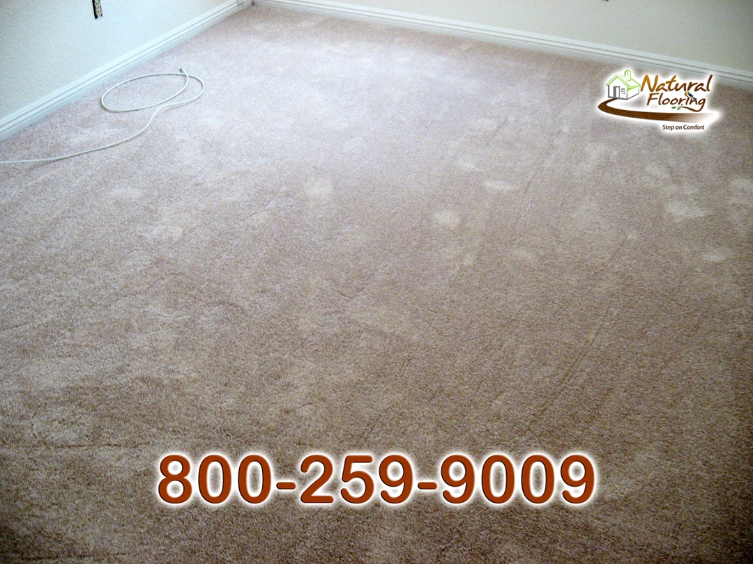 Adobe Carpet