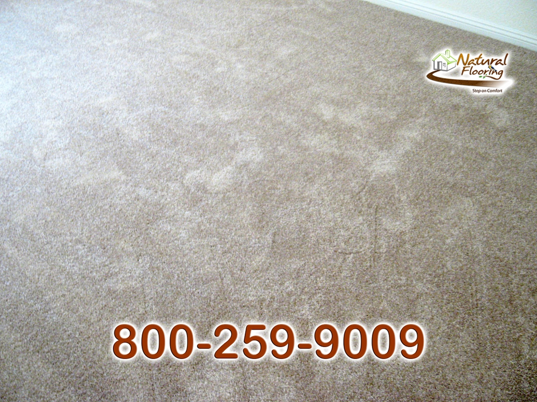 Adobe Carpet