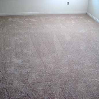 Shaw Adobe Carpet 1 814261