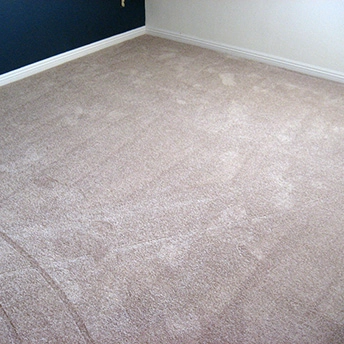 Shaw Adobe Carpet 2 215498