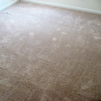 Shaw Adobe Carpet 3 239732