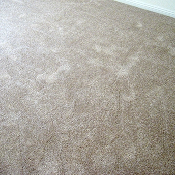 Shaw Adobe Carpet 4 427834