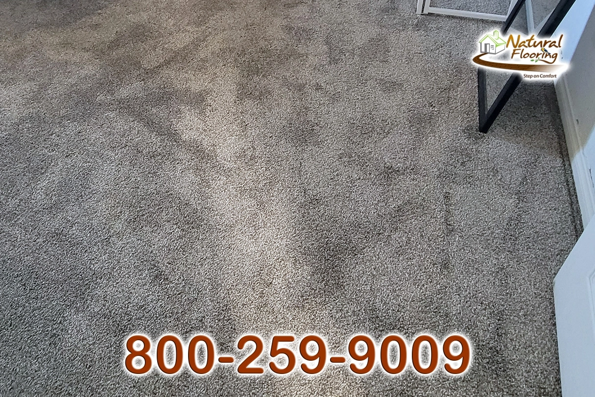 Pebble Walk Carpet