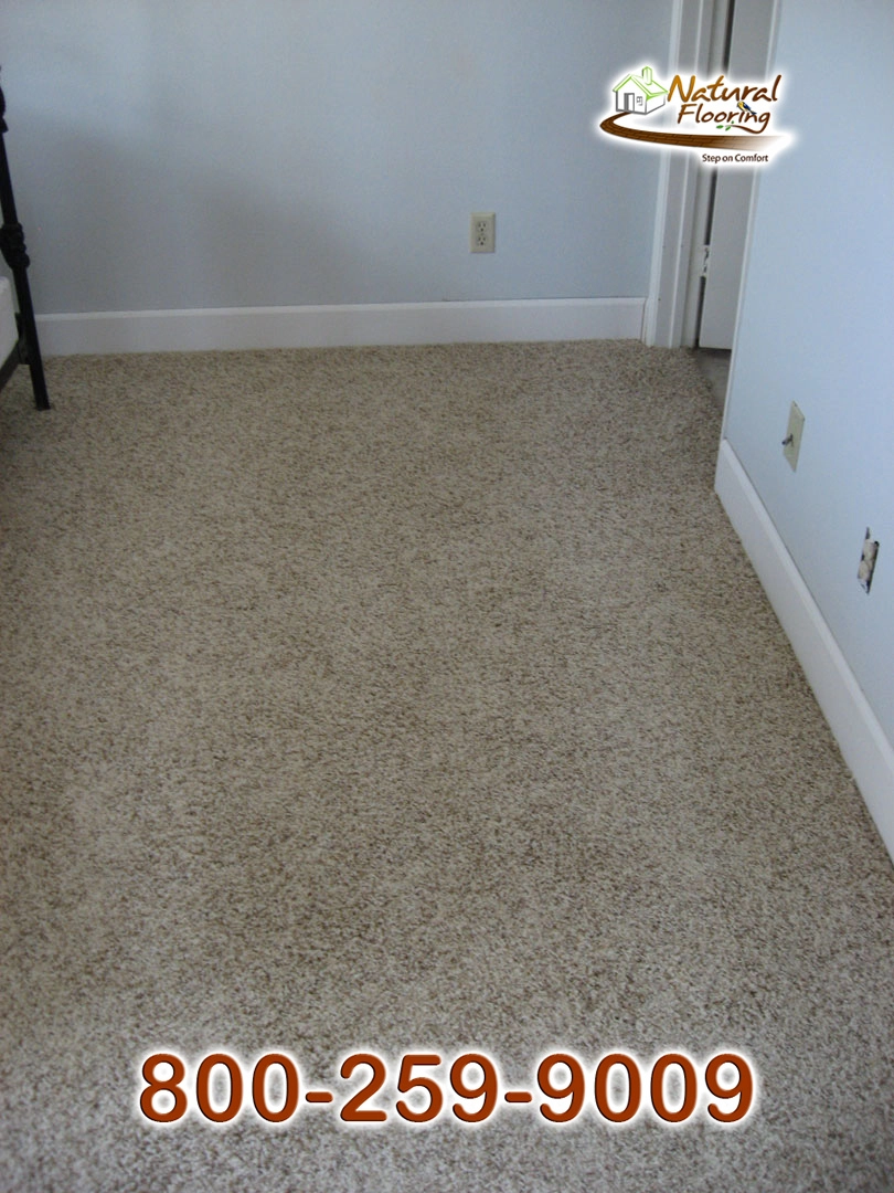 Andrian Carpet