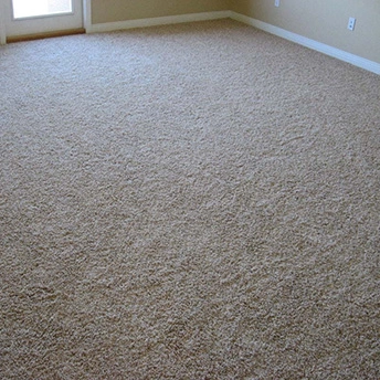 Andrian Carpet Shaw 1