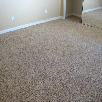 Andrian Carpet Shaw 2