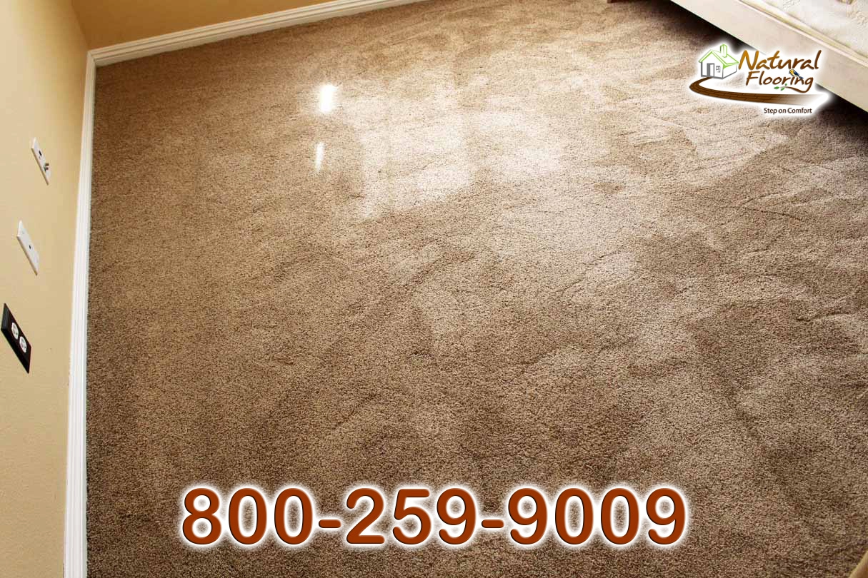 Angora Wensleydale Nylon Carpet Shaw