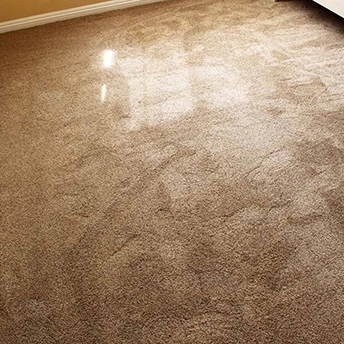 Angora Wendleydale Nylon Carpet Shaw 3