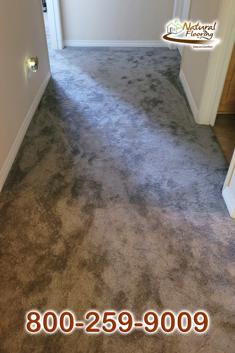 Armor Carpet