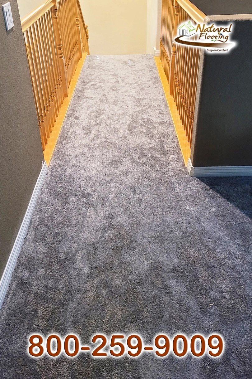Armor Carpet