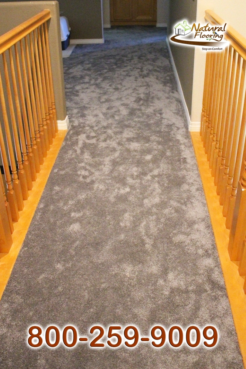 Armor Carpet