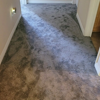 Amor Carpet Montauk DW 1 304131