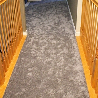 Amor Carpet Montauk DW 3 593167