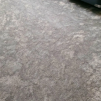 Amor Carpet Montauk DW 4 953239