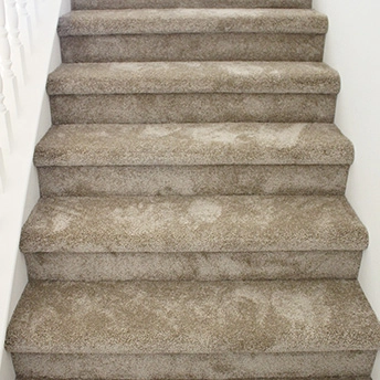 Best Buy BB92 Soft Suede Carpet 8 948307