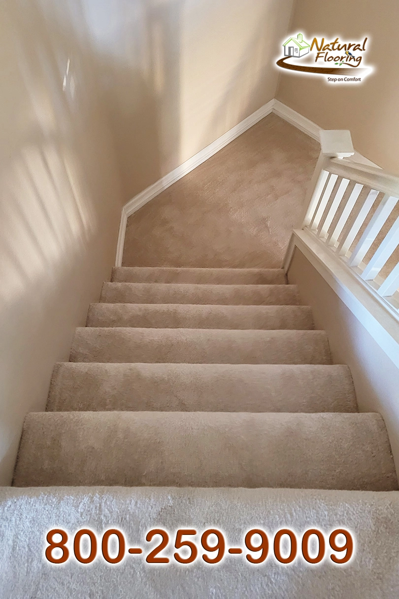 Blush Carpet