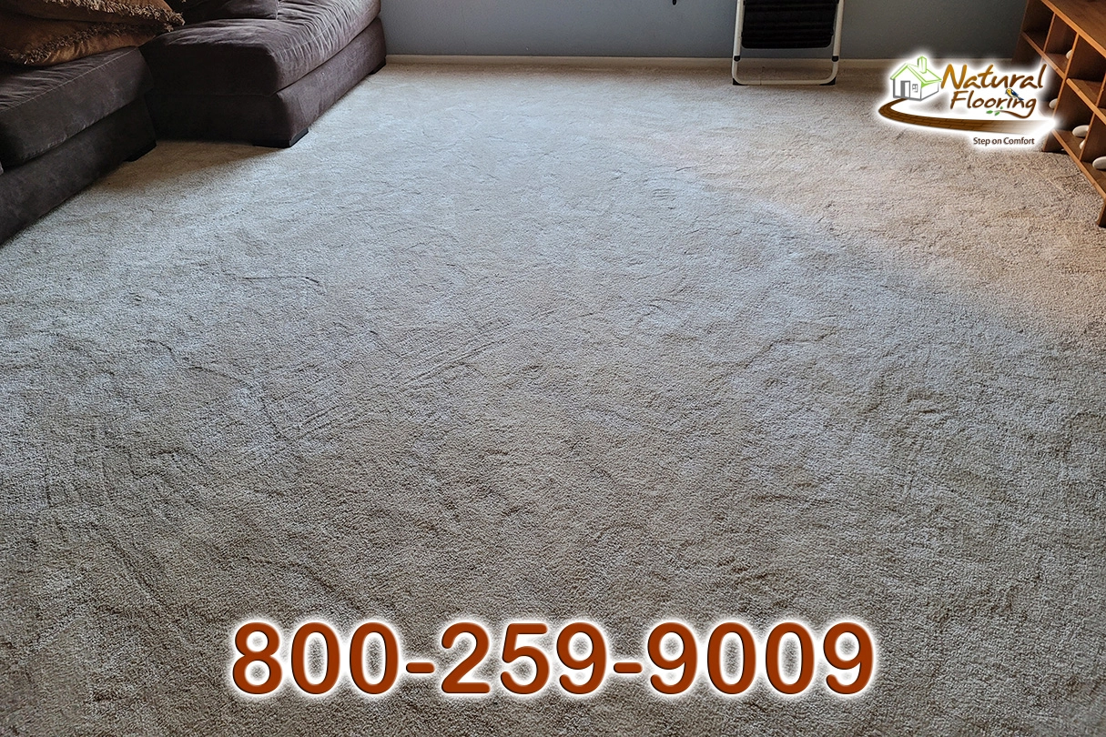 Blush Carpet