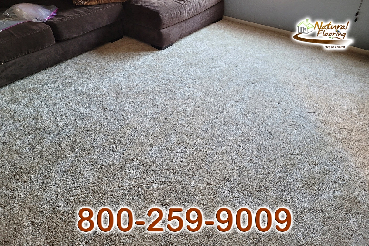 Blush Carpet