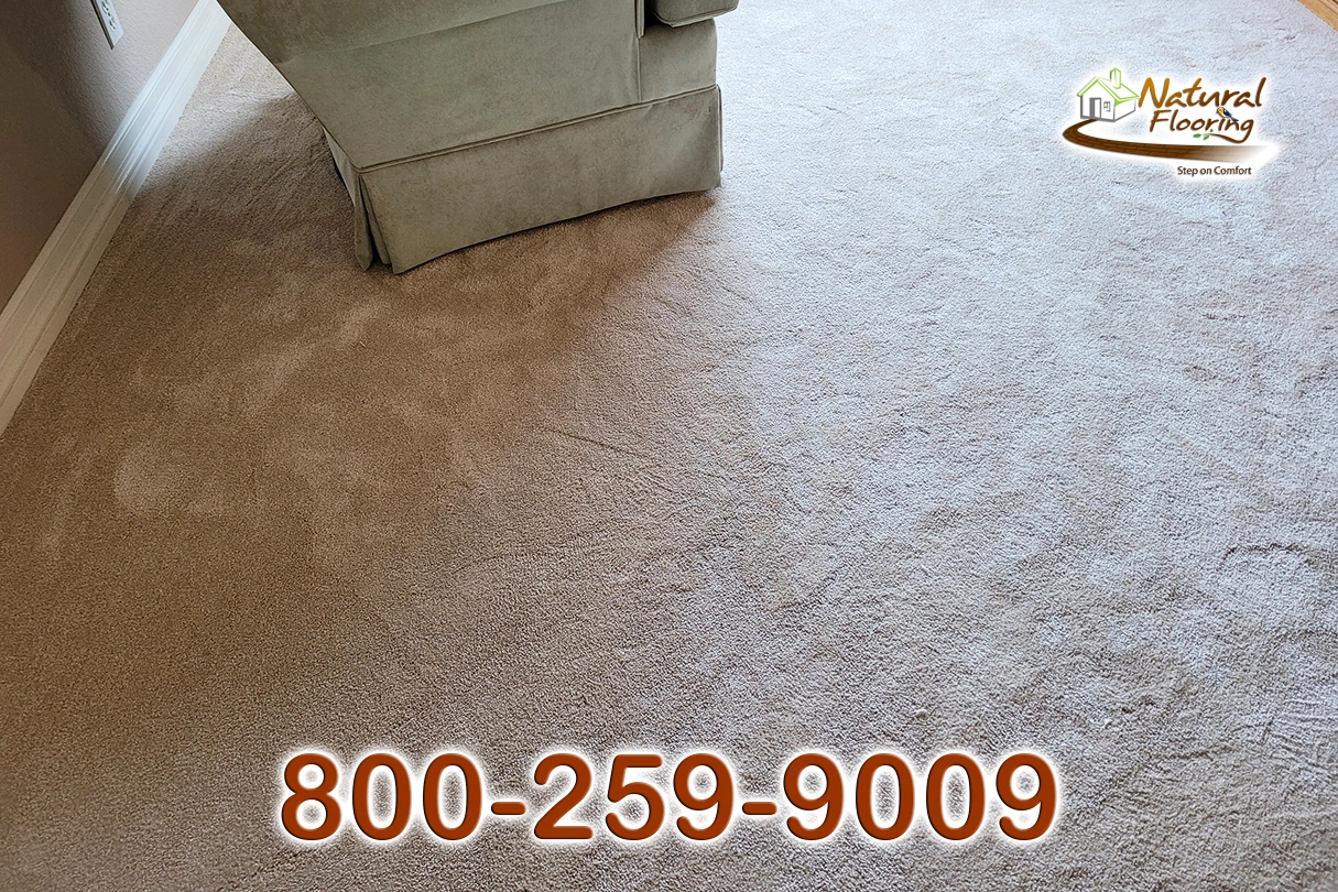 Blush Carpet