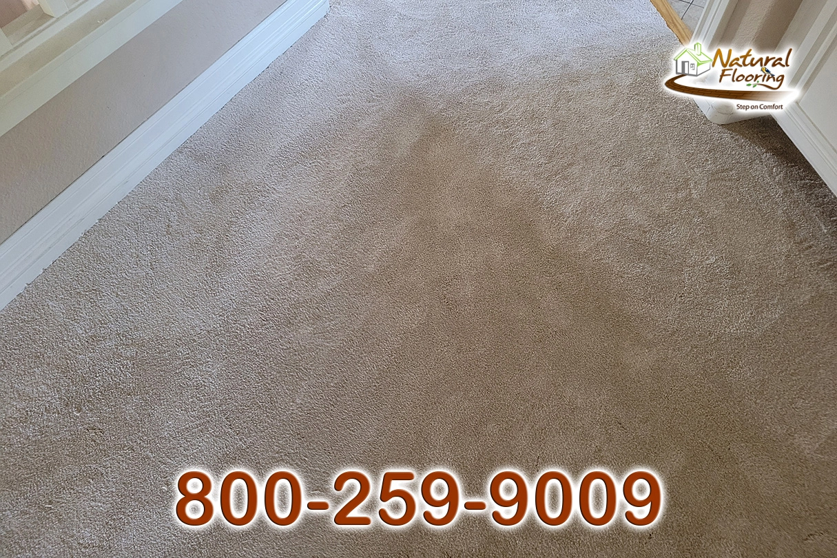 Blush Carpet