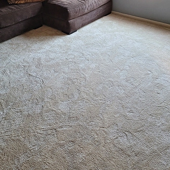 BlushCarpet MontaukCollectioon Dreamweaver 13 244412