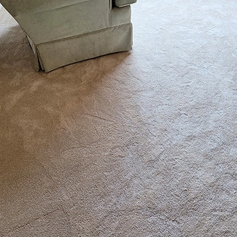 BlushCarpet MontaukCollectioon Dreamweaver 8 596250