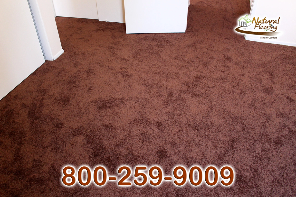 Bronz Bliss Carpet