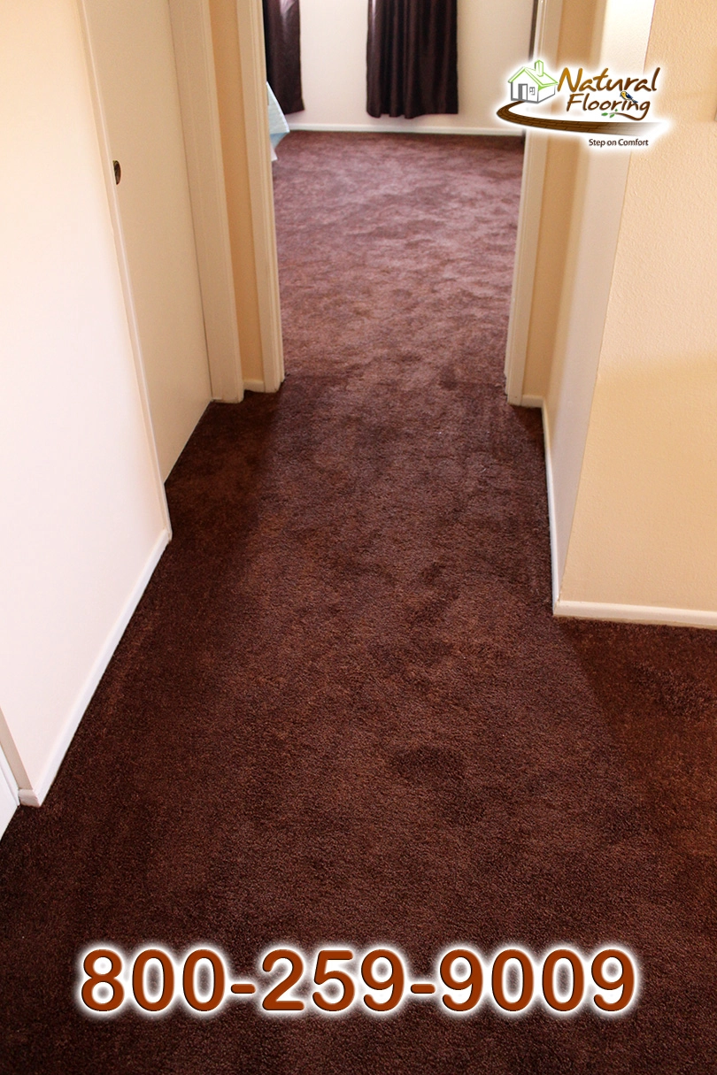 Bronz Bliss Carpet