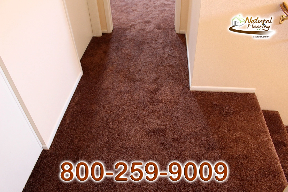 Bronz Bliss Carpet