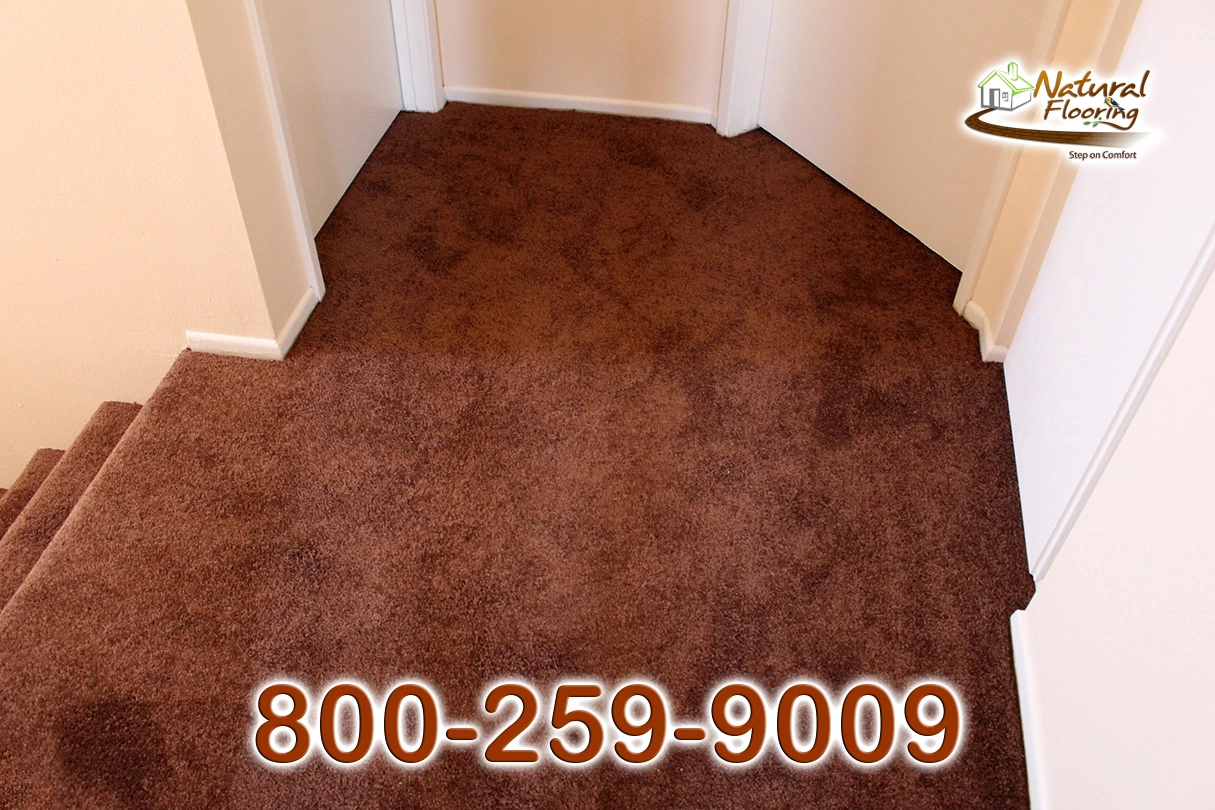 Bronz Bliss Carpet