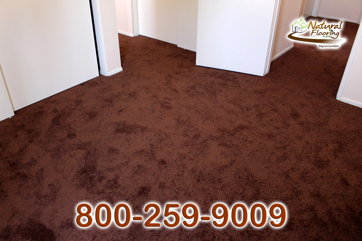 Bronz Bliss Carpet