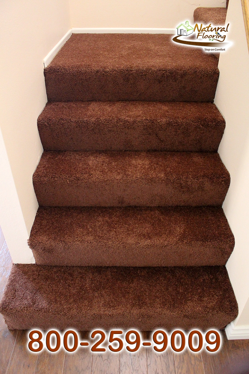 Bronz Bliss Carpet