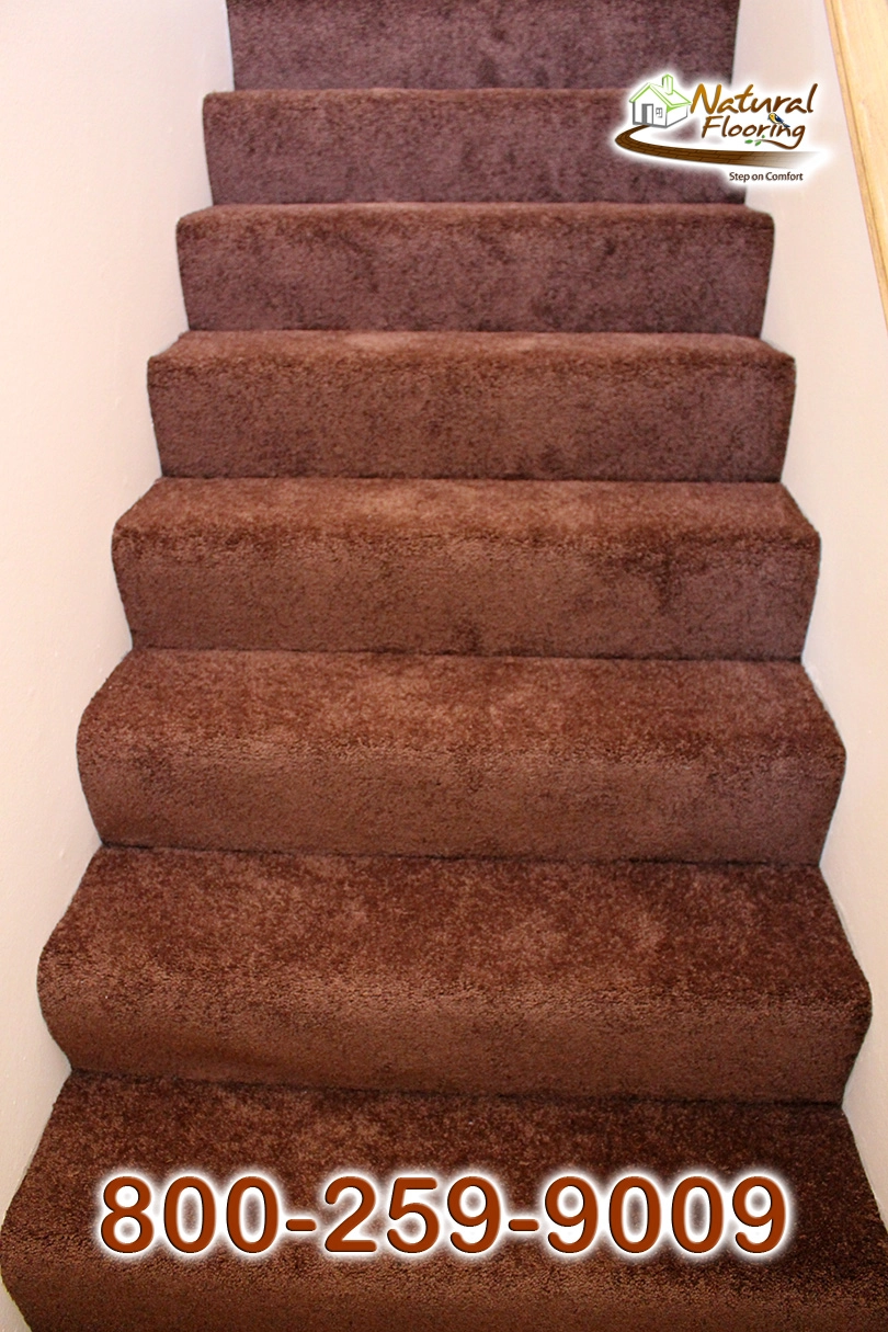 Bronz Bliss Carpet