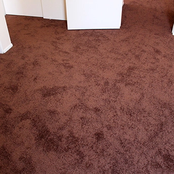 Bronz Bliss Soft Delight Carpet 1 907978