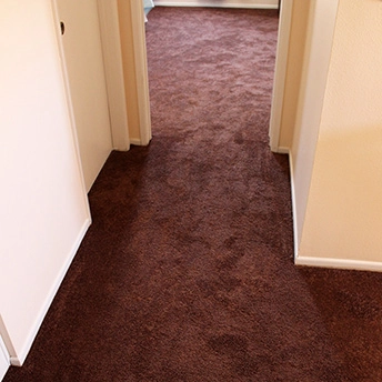Bronz Bliss Soft Delight Carpet 2 624939