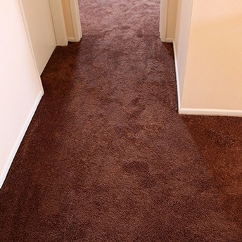 Bronz Bliss Soft Delight Carpet 3 986337