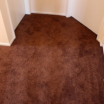 Bronz Bliss Soft Delight Carpet 4 950578
