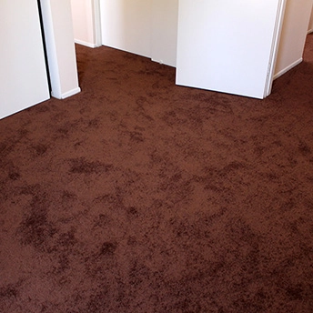 Bronz Bliss Soft Delight Carpet 5 361530