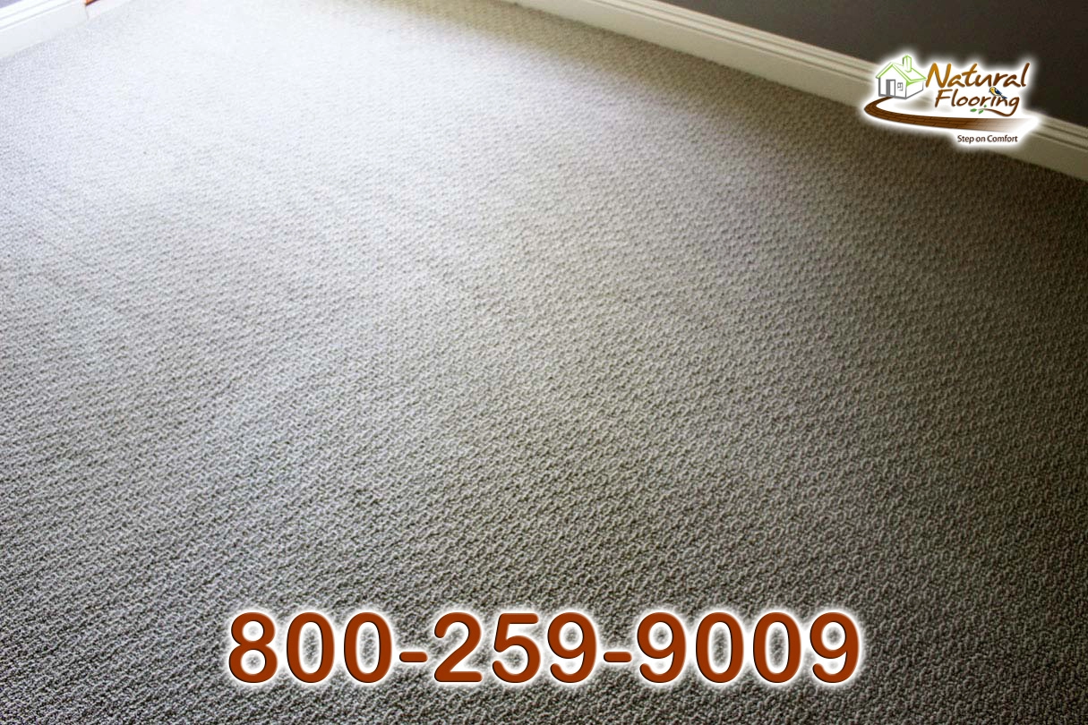 Caress Forth Carpet