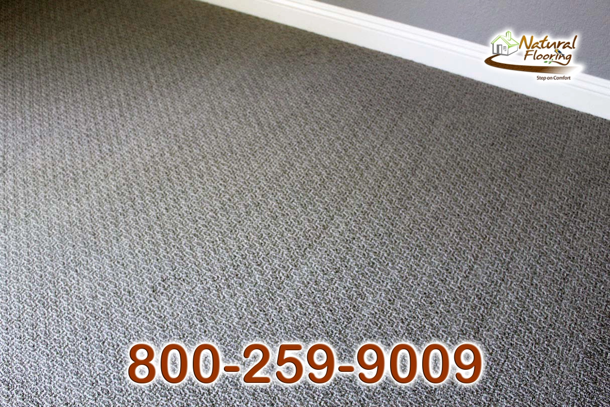 Caress Forth Carpet