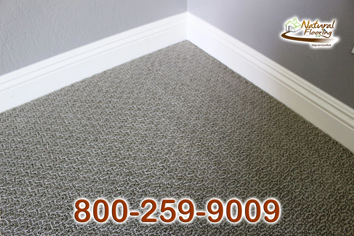 Caress IV Forth Carpet