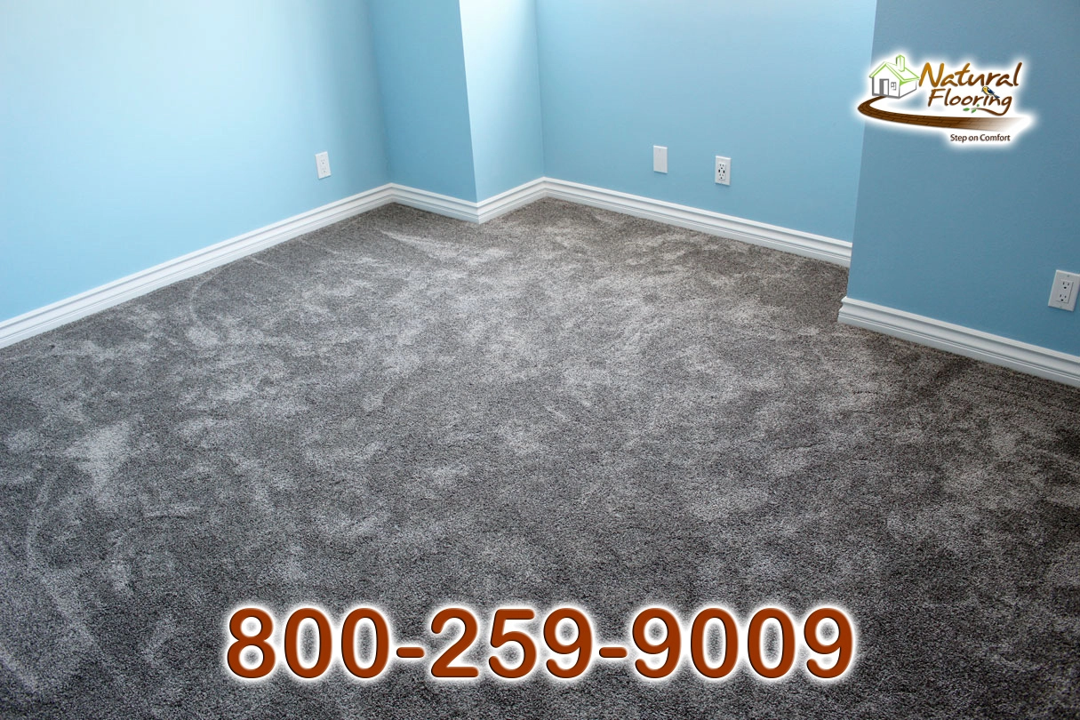 Chino Grey Carpet