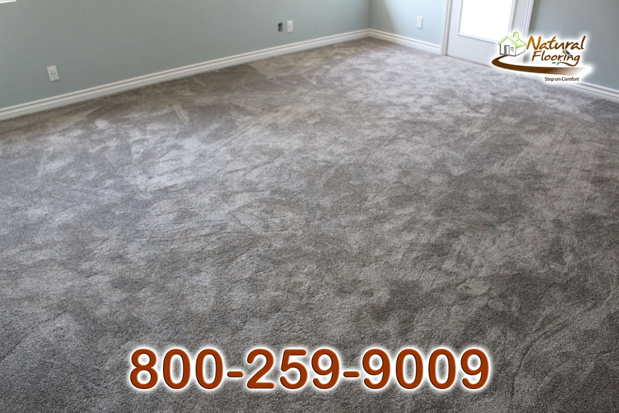 Chino Grey Carpet