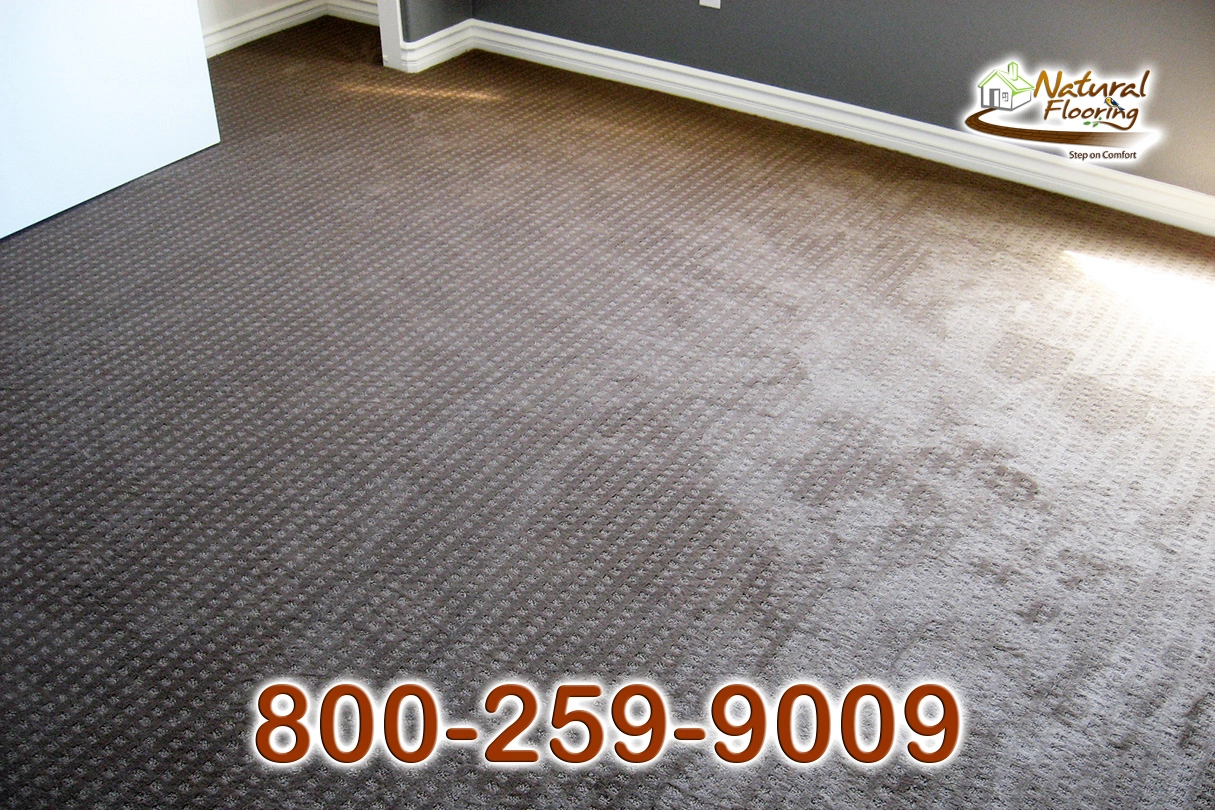 City Light Explorer Carpet