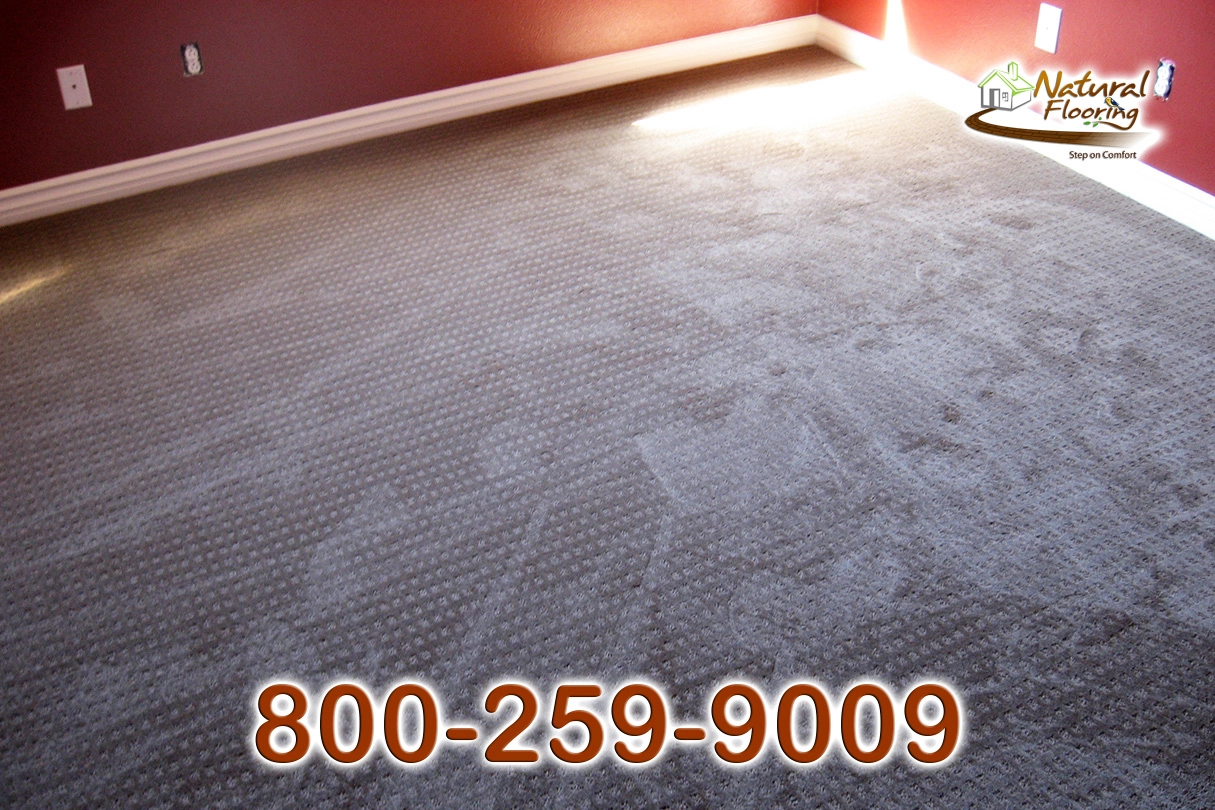 City Light Explorer Carpet